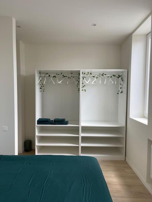Apartament Schitterend Sint - Jacobs Loft In Antwerpen Zewnętrze zdjęcie